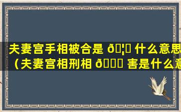 夫妻宫手相被合是 🦊 什么意思（夫妻宫相刑相 🐞 害是什么意思）